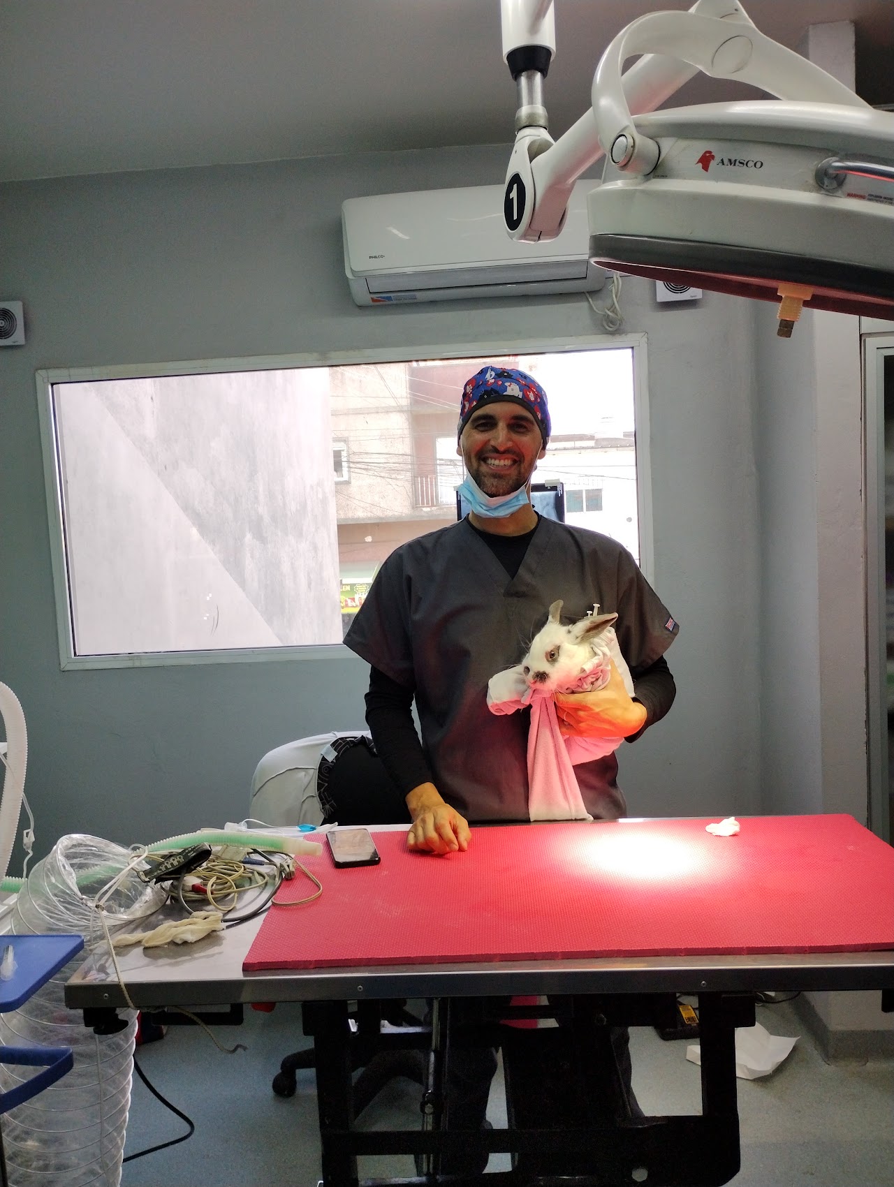 Veterinaria examinando un perro golden retriever en Amancay Flores